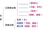 猫头鸟的饲养技巧（全面解读猫头鸟养殖、繁殖、饲养管理技巧）