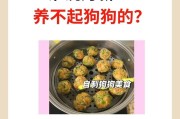 茶杯犬（小巧可爱却易患疾病，探寻茶杯犬的真相）
