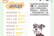 雪纳瑞训练全攻略（快速有效训练你的雪纳瑞）
