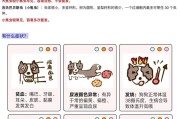 冬天狗狗常见疾病及生命危险（保护您的爱宠健康，远离冬季健康风险）