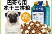 八哥犬的饮食需求和健康保健（了解八哥犬的营养需求和饮食习惯，确保它们的健康和幸福）