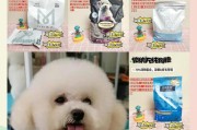 狗狗的饮食需要多久换一次狗粮？（养狗人必看的饲养小贴士）