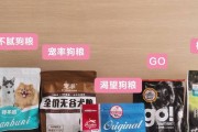 如何选择一个好听的名字给你的哈士奇（独一无二的名字能为你的哈士奇增添个性魅力）