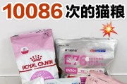 小奶猫何时应该开始以猫粮为主食？（探究小奶猫什么时候适宜转换到猫粮饮食的全面摄入）