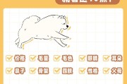 以萨摩换胎毛的最佳时间选择（探讨以萨摩换胎毛的时机与方法）