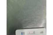 保护小狗免受细小病毒侵害的重要性（为您的小狗注射细小病毒疫苗以防止疾病传播）