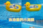 夏天养狗之所需准备（如何为夏天出生的狗狗做好准备）