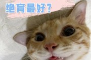 为什么以及何时给猫进行结扎手术（了解猫咪结扎的重要性以及最佳时机）
