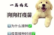 揭秘狗狗老叹气的原因（是我亏待它了吗？）