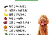 泰迪狗的健康水果之旅（探索泰迪狗可以享用的水果，让它们的饮食更健康）