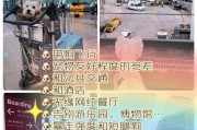 狗不能吃飞机餐的原因（为什么狗不能吃飞机餐？）