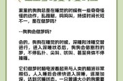 狗狗为什么老是呜呜叫？（探究狗狗呜呜叫的原因及解决方法）