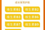 狗狗维生素B的重要性（探索如何为你的狗狗补充维生素B）
