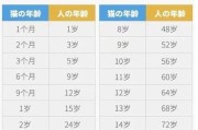 如何通过猫咪的牙齿判断其年龄（牙齿概览图为主题）