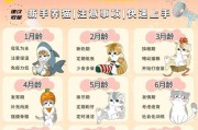 猫咪断奶的最佳时机及注意事项（从多少周龄开始断奶？如何正确断奶？）