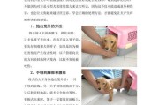 如何解决柯基犬的口臭问题（探讨口臭原因、改善饮食习惯、使用口腔清洁产品、及时就医）