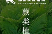猫咪与植物（探索哪些植物对猫咪有害，哪些没有害，让你的猫咪安全与植物共处）