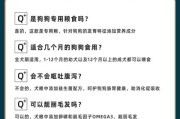 如何正确喂养狗狗的狗粮（换粮的正确方法与注意事项）