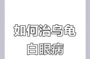 巴西龟的常见疾病及预防方法（巴西龟如何保持健康和远离疾病？）