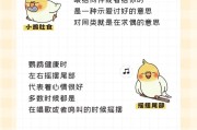 如何判断家养鹦鹉的年龄？（了解你家鸟宝的年纪从容开始）