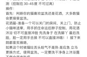 如何正确给猫咪洗澡（注意事项与步骤详解）