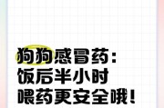 狗狗感冒了怎么办？正确的治疗方法和药物选择（狗狗感冒的症状、常见的药物治疗、预防措施）
