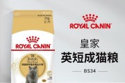 英短蓝猫的发腮之谜（揭开英短蓝猫发腮的神秘面纱）