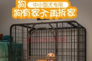 如何训练狗狗乖乖进狗笼？（宠物主人必知的训练方法）