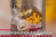 狗吃了塑料袋后的反应及处理方法（保护宠物健康的关键，警惕狗吃塑料袋的危险）