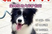 狗狗需要驱虫的重要性（掌握狗狗驱虫常见症状及预防方法）