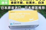狗老吐该如何处理？（了解狗吐的原因及药物治疗方法）