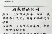 为什么狗老打喷嚏？（探寻狗打喷嚏的原因及相关健康问题）