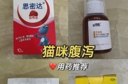 小猫咪拉肚子是什么原因？（探究小猫咪拉肚子的常见原因及治疗方法）