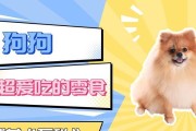 为什么狗不吃鸡肉？（探究狗对鸡肉的拒食原因及其健康影响）