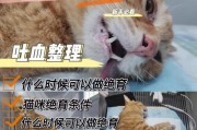 动物结扎后的注意事项（保障宠物健康理解结扎的重要性）