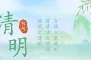 清明过后，宠物养护须知（宠物健康不容忽视，养护小妙招分享）