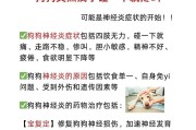 狗狗生病时最佳药物治疗方案（了解狗狗的常见疾病和合适的治疗方式）