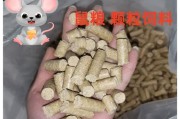 花枝鼠的繁殖习性（了解花枝鼠的繁殖周期和生殖特征）