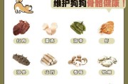 狗狗换牙期间的适宜食物选择（为你的宠物提供健康的换牙饮食）