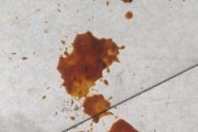 狗拉肚子时出现血便，应引起重视的原因和处理方法（狗病情严重时排便出现血迹，主人应积极采取措施）