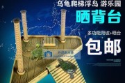 红冠棱背龟如何饲养？如何让红冠棱背龟健康快乐的成长？