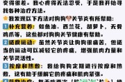 拉布拉多犬7个月的养护指南（关注拉布拉多犬在7个月阶段的关键需求，让它健康快乐成长）