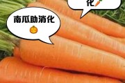 如何合理安排刚养小猫的饮食？（小猫喂养指南，教你如何科学养育新成员）