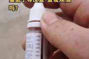 如何选择合适的药膏为狗狗解除寄生虫困扰（狗狗生虫的原因及常见药膏类型）