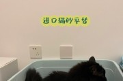 猫砂使用指南（宠物家庭必备）