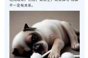 耳朵痒的原因及解决办法（揭秘耳朵痒背后的奥秘，告别耳朵痒烦恼）