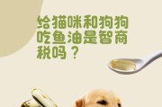 狗狗的健康餐桌（让爱犬吃得健康快乐，你喂过几种？）