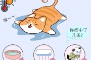 夏天猫咪的健康饮食（夏季养护小秘籍，为猫咪提供清凉美味）