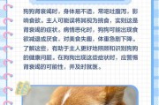 肾衰恢复的狗能活多久？（揭秘肾衰恢复的狗的寿命及关键因素）