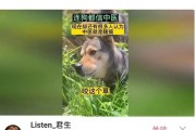 狗狗的饮食与排泄（了解狗狗的饮食需求，促进健康的排泄）